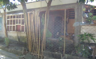 2235329 pic001