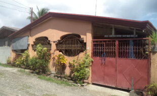 2236407 pic001