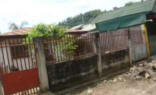 2250485 pic001