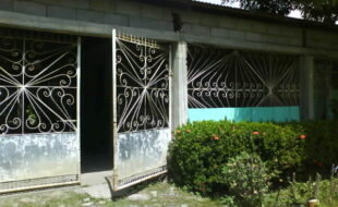 2252293 pic001