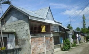2254317 pic001