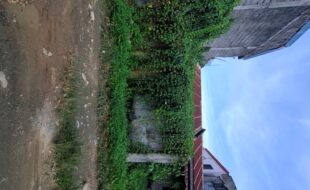 2254349 pic001
