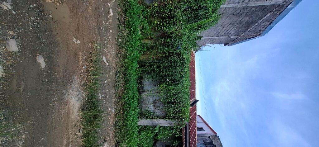 2254349 pic001 rotated