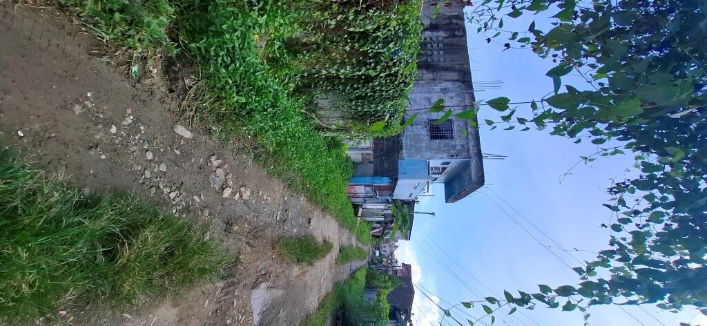 2254349 pic002 rotated