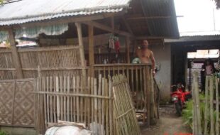 2263157 pic001