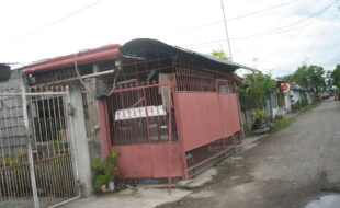 2263171 pic001