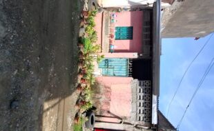 2263544 pic001