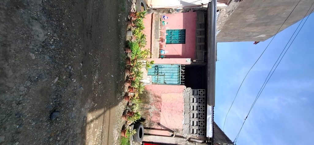2263544 pic001 rotated