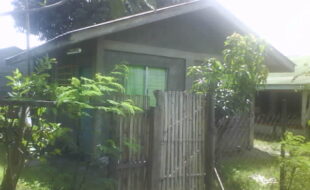 2266462 pic001