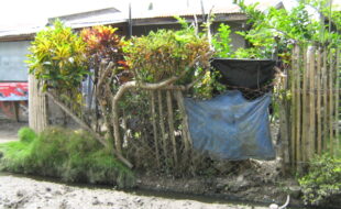 Foreclosed Properties Philippines Database 15 2270458 pic001