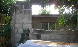 2270497 pic001