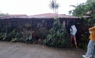 2272155 pic001