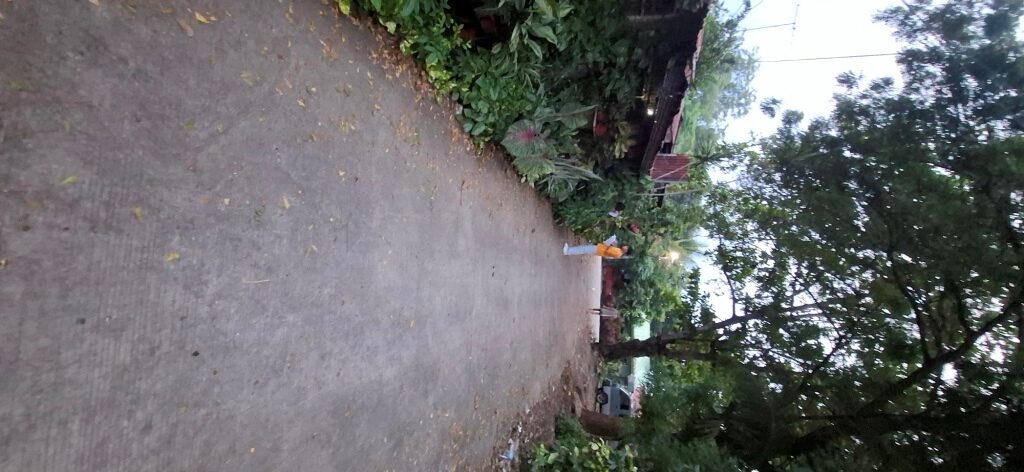 2272155 pic002 rotated