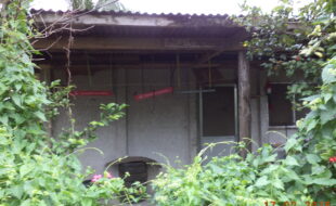 2272266 pic001