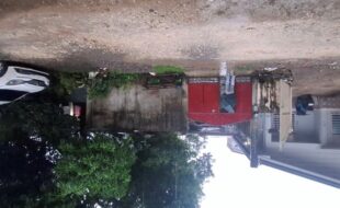 2275446 pic001