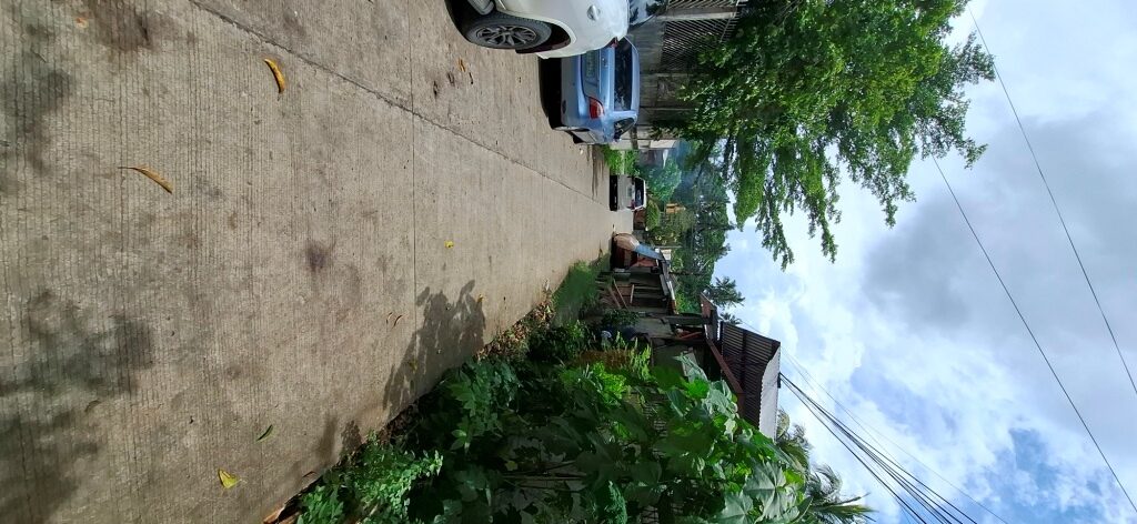 2275779 pic002 rotated