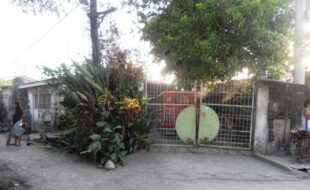 2282786 pic001