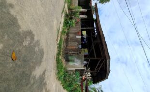 2286901 pic001