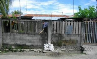 2289994 pic001