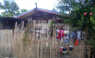 Foreclosed Properties Philippines Database 2 2293854 pic001