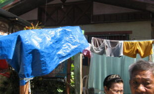 2293958 pic001
