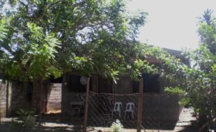 2293972 pic001