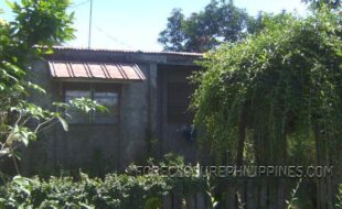 Foreclosed Properties Philippines Database 15 2296242 pic001