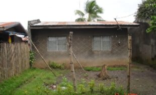 2306068 pic001