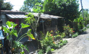 2309785 pic001