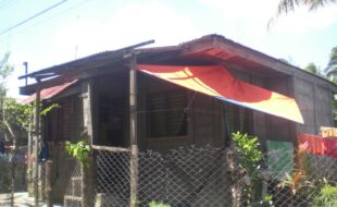2310092 pic001