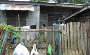 2310236 pic001
