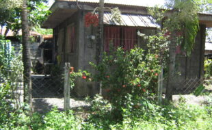2311006 pic001