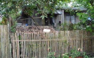 2311077 pic001