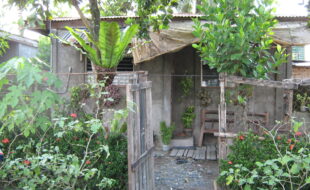 2312227 pic001