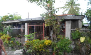 2312241 pic001