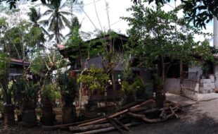 Foreclosed Properties Philippines Database 3 2317903 pic001