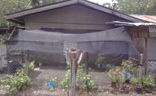 Foreclosed Properties Philippines Database 29 2317967 pic001