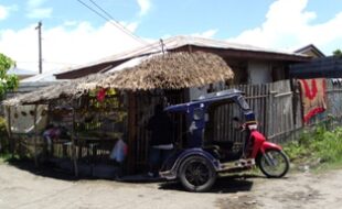 2319102 pic001
