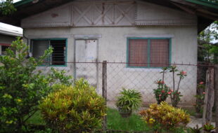 2320043 pic001