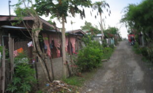 2320487 pic001