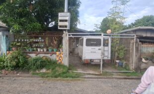2321644 pic001
