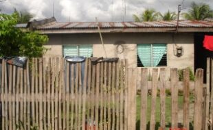 2326428 pic001
