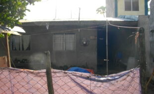 2326481 pic001