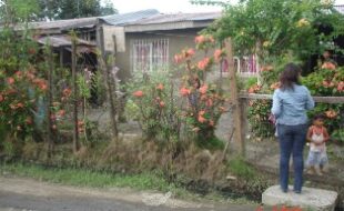 2326514 pic001