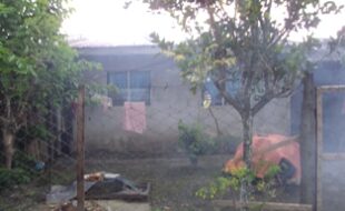 2326671 pic001