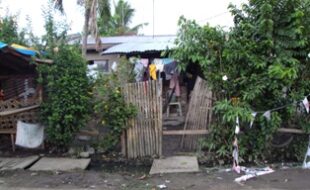 2326696 pic001