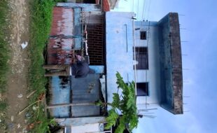 2327355 pic001