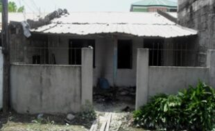 2327387 pic001