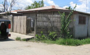 2332325 pic001