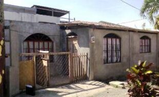 2333585 pic001